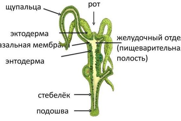 Найдется все kraken 2krn cc что это