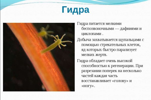 Как сделать заказ на кракен